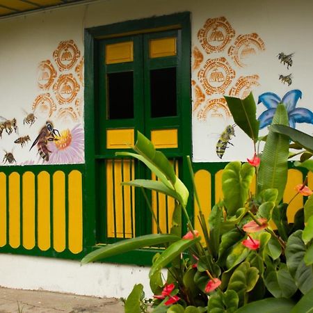 سالنتو The Plantation House Travellers Hostel المظهر الخارجي الصورة