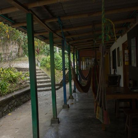 سالنتو The Plantation House Travellers Hostel المظهر الخارجي الصورة
