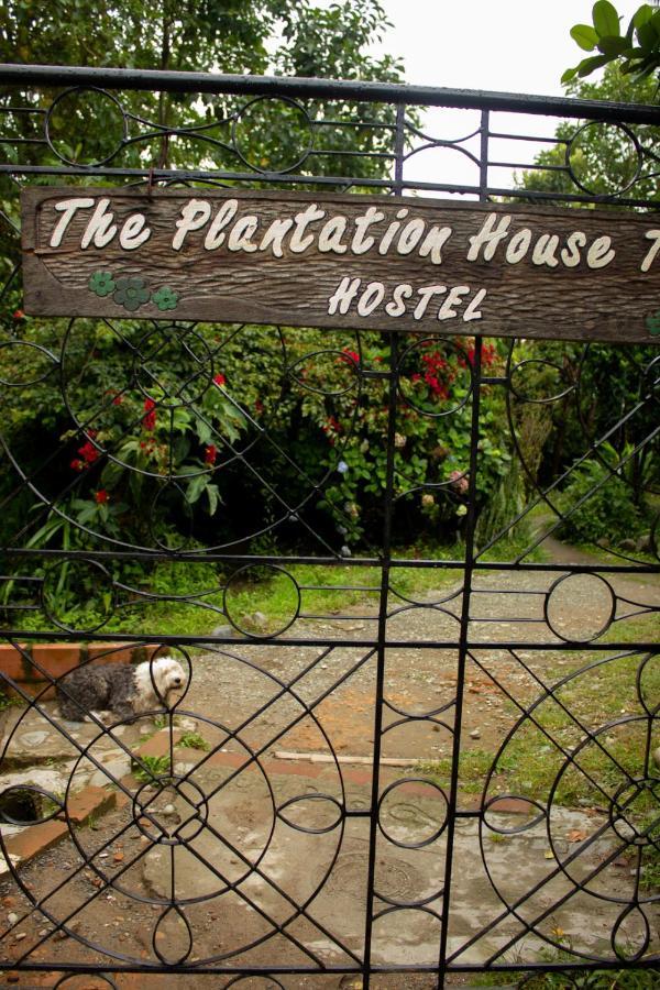 سالنتو The Plantation House Travellers Hostel المظهر الخارجي الصورة