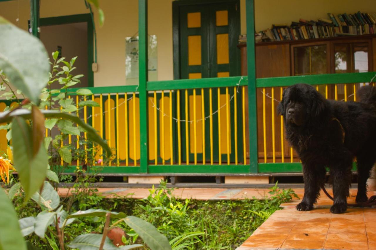 سالنتو The Plantation House Travellers Hostel المظهر الخارجي الصورة