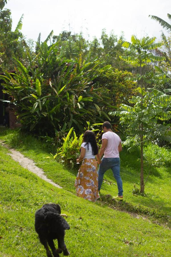 سالنتو The Plantation House Travellers Hostel المظهر الخارجي الصورة