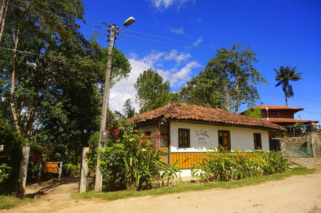 سالنتو The Plantation House Travellers Hostel المظهر الخارجي الصورة
