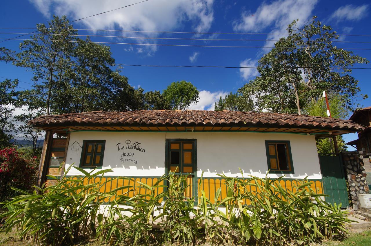 سالنتو The Plantation House Travellers Hostel المظهر الخارجي الصورة